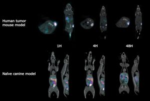 Increase success rate of drug candidates by combining SPECT/CT images